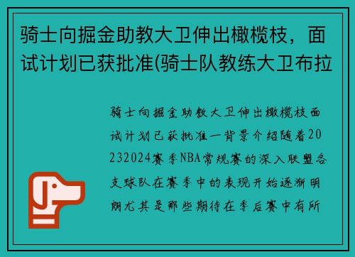 骑士向掘金助教大卫伸出橄榄枝，面试计划已获批准(骑士队教练大卫布拉切)