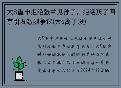 大S重申拒绝张兰见孙子，拒绝孩子回京引发激烈争议(大s离了没)